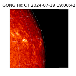 gong - 2024-07-19T19:00:42