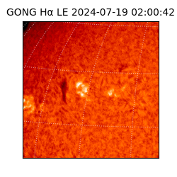 gong - 2024-07-19T02:00:42