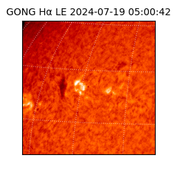 gong - 2024-07-19T05:00:42