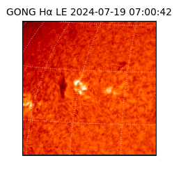 gong - 2024-07-19T07:00:42