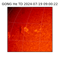 gong - 2024-07-19T09:00:22