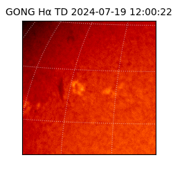 gong - 2024-07-19T12:00:22