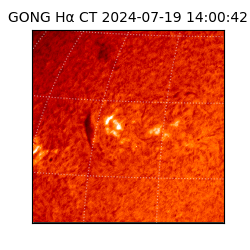 gong - 2024-07-19T14:00:42