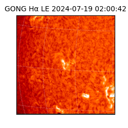 gong - 2024-07-19T02:00:42