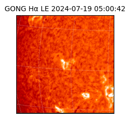 gong - 2024-07-19T05:00:42