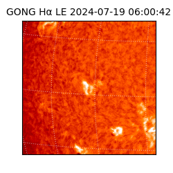 gong - 2024-07-19T06:00:42