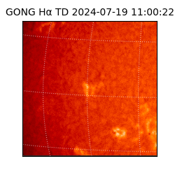 gong - 2024-07-19T11:00:22