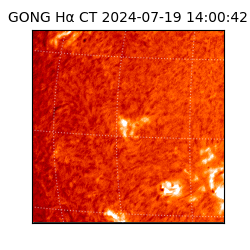 gong - 2024-07-19T14:00:42