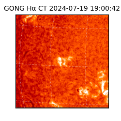 gong - 2024-07-19T19:00:42