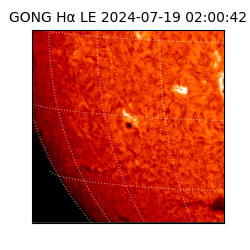 gong - 2024-07-19T02:00:42