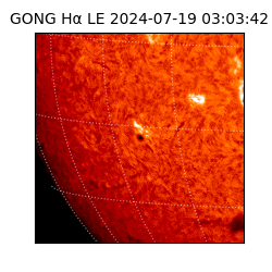 gong - 2024-07-19T03:03:42