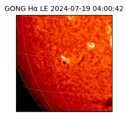 gong - 2024-07-19T04:00:42