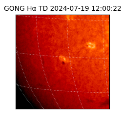 gong - 2024-07-19T12:00:22