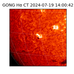 gong - 2024-07-19T14:00:42