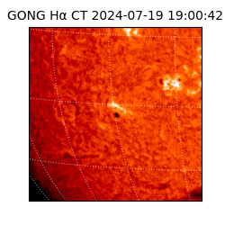 gong - 2024-07-19T19:00:42