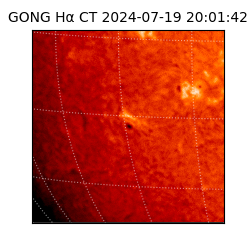 gong - 2024-07-19T20:01:42