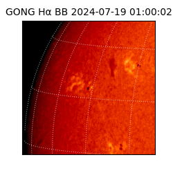 gong - 2024-07-19T01:00:02