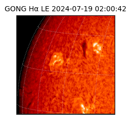 gong - 2024-07-19T02:00:42