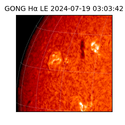 gong - 2024-07-19T03:03:42