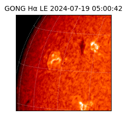 gong - 2024-07-19T05:00:42