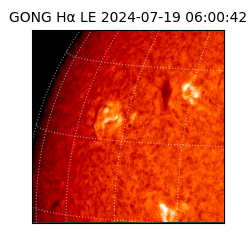 gong - 2024-07-19T06:00:42