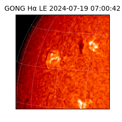 gong - 2024-07-19T07:00:42