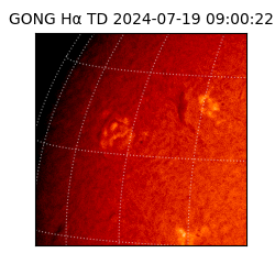 gong - 2024-07-19T09:00:22