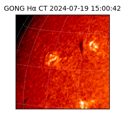 gong - 2024-07-19T15:00:42