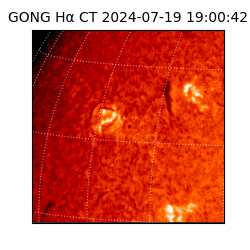 gong - 2024-07-19T19:00:42