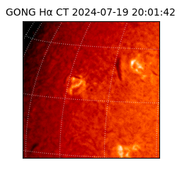 gong - 2024-07-19T20:01:42