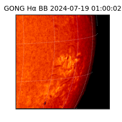 gong - 2024-07-19T01:00:02