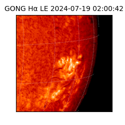 gong - 2024-07-19T02:00:42