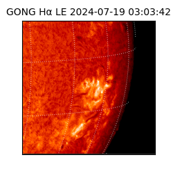 gong - 2024-07-19T03:03:42