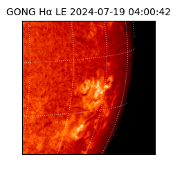 gong - 2024-07-19T04:00:42