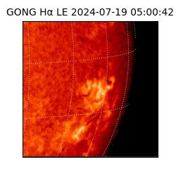 gong - 2024-07-19T05:00:42