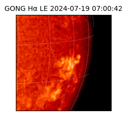 gong - 2024-07-19T07:00:42