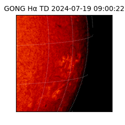 gong - 2024-07-19T09:00:22