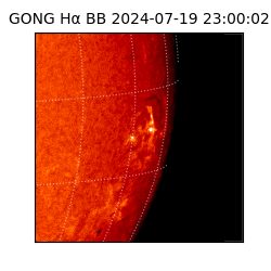 gong - 2024-07-19T23:00:02