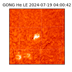 gong - 2024-07-19T04:00:42