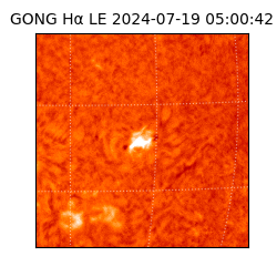 gong - 2024-07-19T05:00:42