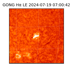 gong - 2024-07-19T07:00:42