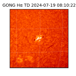 gong - 2024-07-19T08:10:22