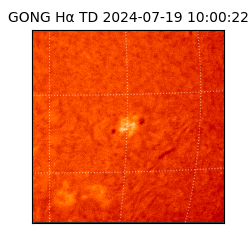 gong - 2024-07-19T10:00:22