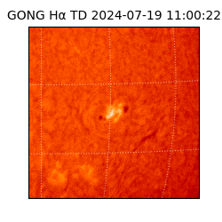 gong - 2024-07-19T11:00:22