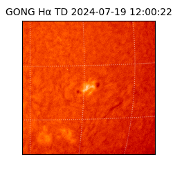 gong - 2024-07-19T12:00:22