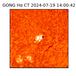 gong - 2024-07-19T14:00:42