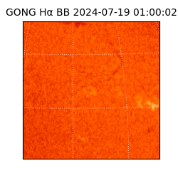 gong - 2024-07-19T01:00:02