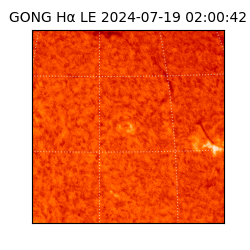 gong - 2024-07-19T02:00:42