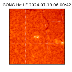 gong - 2024-07-19T06:00:42