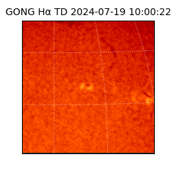 gong - 2024-07-19T10:00:22